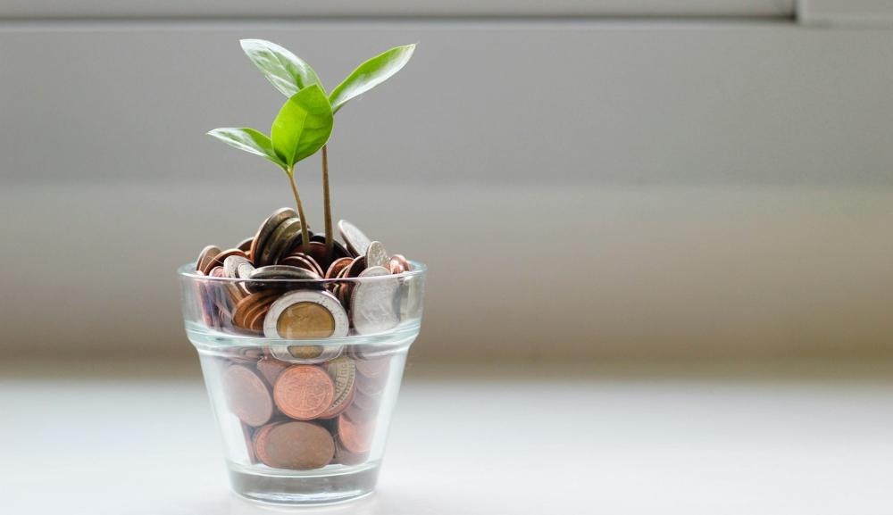 Risparmio e Investimenti